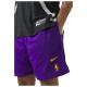 Nike Ανδρικό σορτς Los Angeles Lakers NBA Mesh Shorts